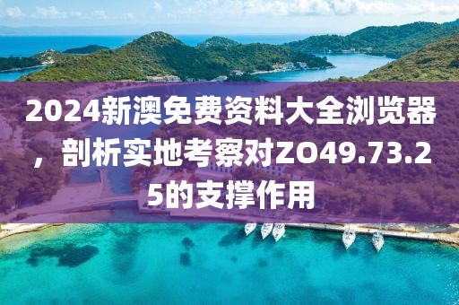 2024新澳免費(fèi)資料大全瀏覽器，剖析實(shí)地考察對(duì)ZO49.73.25的支撐作用