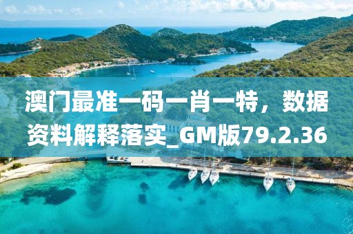 澳門最準(zhǔn)一碼一肖一特，數(shù)據(jù)資料解釋落實(shí)_GM版79.2.36