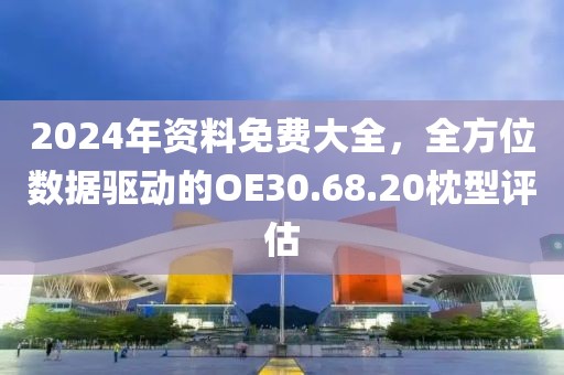2024年資料免費大全，全方位數(shù)據(jù)驅(qū)動的OE30.68.20枕型評估