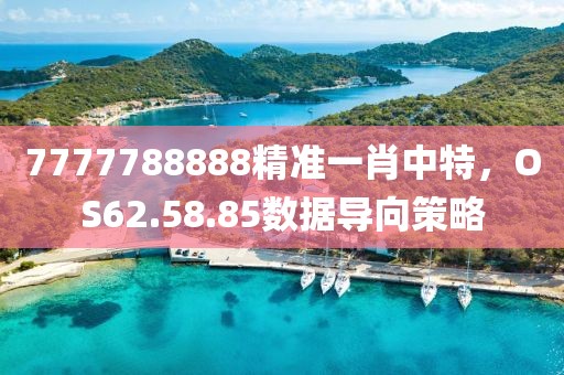 7777788888精準(zhǔn)一肖中特，OS62.58.85數(shù)據(jù)導(dǎo)向策略