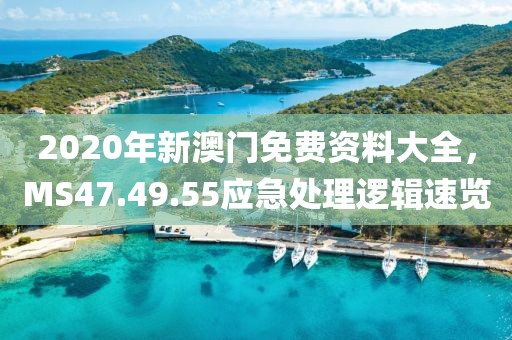 2020年新澳門免費(fèi)資料大全，MS47.49.55應(yīng)急處理邏輯速覽
