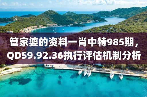 管家婆的資料一肖中特985期，QD59.92.36執(zhí)行評(píng)估機(jī)制分析