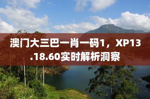 澳門大三巴一肖一碼1，XP13.18.60實時解析洞察