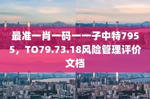 最準(zhǔn)一肖一碼一一子中特7955，TO79.73.18風(fēng)險管理評價文檔