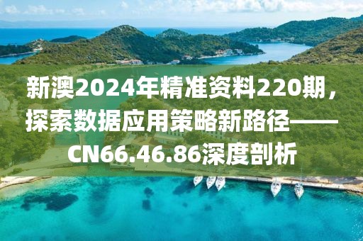 新澳2024年精準(zhǔn)資料220期，探索數(shù)據(jù)應(yīng)用策略新路徑——CN66.46.86深度剖析