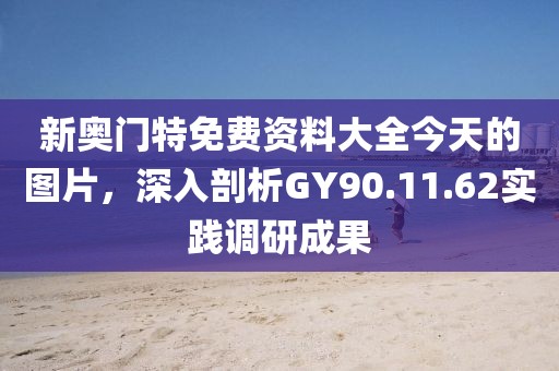 新奧門特免費資料大全今天的圖片，深入剖析GY90.11.62實踐調(diào)研成果