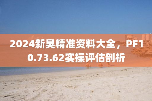 2024新臭精準資料大全，PF10.73.62實操評估剖析