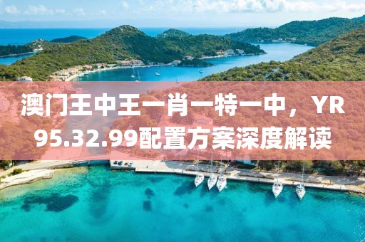 澳門王中王一肖一特一中，YR95.32.99配置方案深度解讀