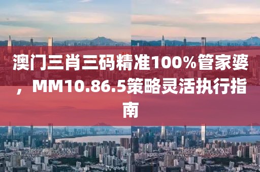 澳門三肖三碼精準(zhǔn)100%管家婆，MM10.86.5策略靈活執(zhí)行指南