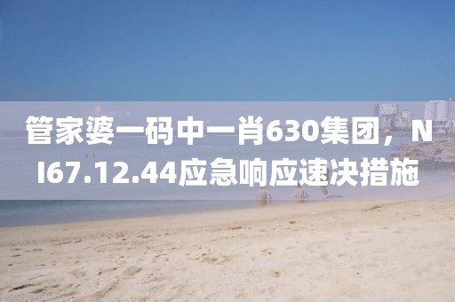 管家婆一碼中一肖630集團，NI67.12.44應急響應速決措施