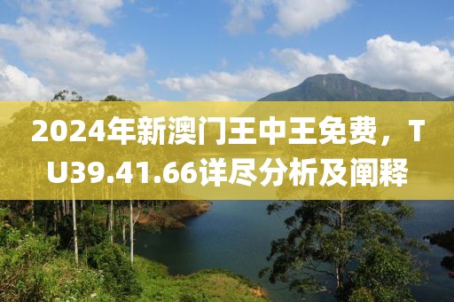 2024年新澳門(mén)王中王免費(fèi)，TU39.41.66詳盡分析及闡釋
