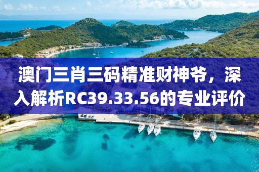 澳門三肖三碼精準財神爺，深入解析RC39.33.56的專業(yè)評價