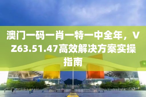 澳門一碼一肖一特一中全年，VZ63.51.47高效解決方案實(shí)操指南