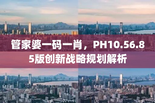 管家婆一碼一肖，PH10.56.85版創(chuàng)新戰(zhàn)略規(guī)劃解析