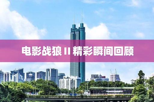 電影戰(zhàn)狼Ⅱ精彩瞬間回顧