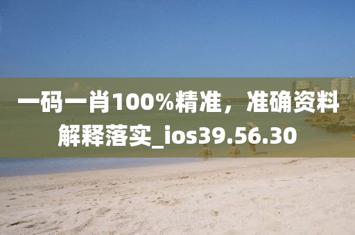 一碼一肖100%精準(zhǔn)，準(zhǔn)確資料解釋落實(shí)_ios39.56.30