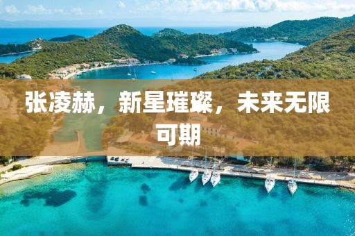 張凌赫，新星璀璨，未來無限可期