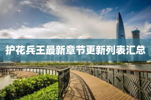 護(hù)花兵王最新章節(jié)更新列表匯總