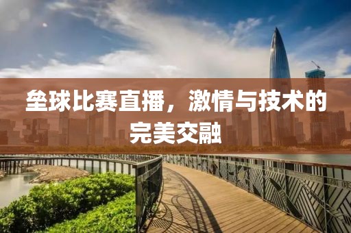 壘球比賽直播，激情與技術(shù)的完美交融