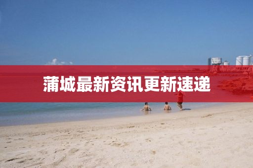 蒲城最新資訊更新速遞