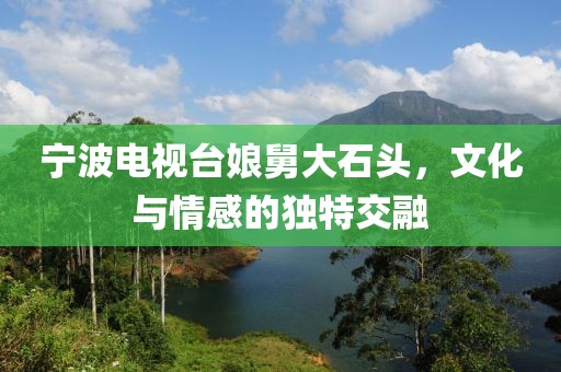 寧波電視臺(tái)娘舅大石頭，文化與情感的獨(dú)特交融