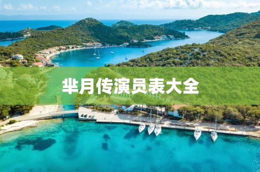 羋月傳演員表大全