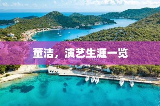 董潔，演藝生涯一覽