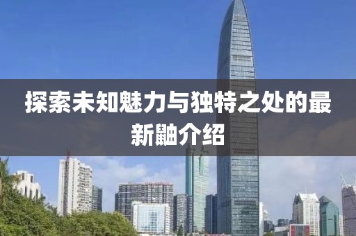 探索未知魅力與獨(dú)特之處的最新鼬介紹