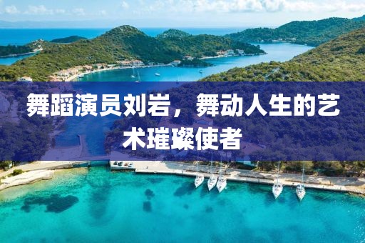 舞蹈演員劉巖，舞動人生的藝術(shù)璀璨使者
