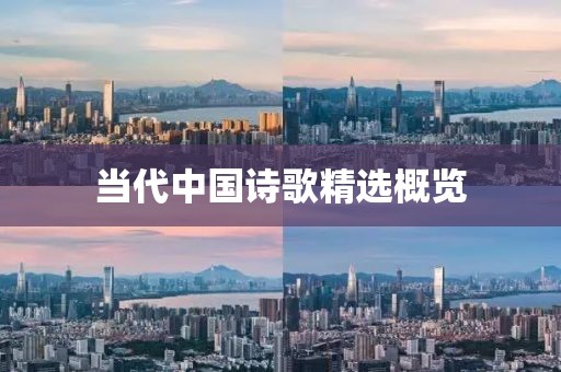 當(dāng)代中國詩歌精選概覽