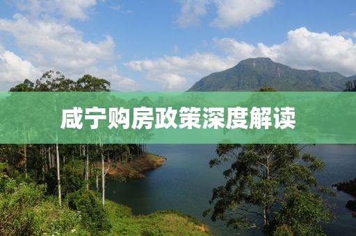 咸寧購房政策深度解讀