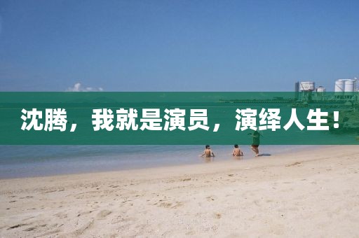 沈騰，我就是演員，演繹人生！