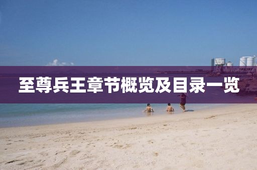 至尊兵王章節(jié)概覽及目錄一覽