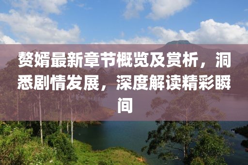 贅婿最新章節(jié)概覽及賞析，洞悉劇情發(fā)展，深度解讀精彩瞬間