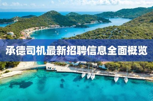 謇芬菲 第4頁