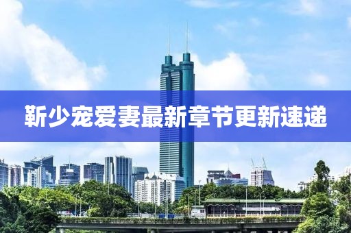靳少寵愛妻最新章節(jié)更新速遞