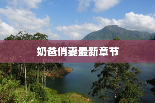 奶爸俏妻最新章節(jié)