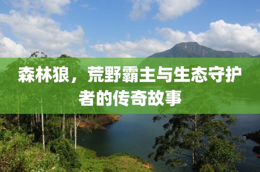 森林狼，荒野霸主與生態(tài)守護者的傳奇故事