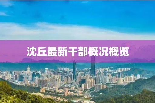 沈丘最新干部概況概覽