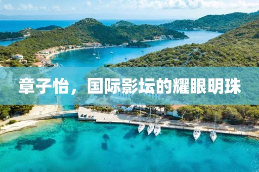 章子怡，國際影壇的耀眼明珠