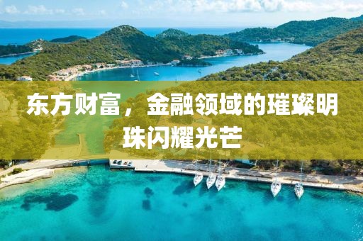 東方財(cái)富，金融領(lǐng)域的璀璨明珠閃耀光芒