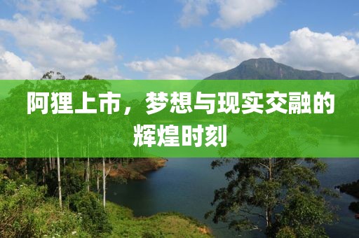 阿貍上市，夢(mèng)想與現(xiàn)實(shí)交融的輝煌時(shí)刻