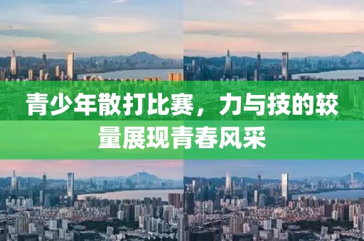 青少年散打比賽，力與技的較量展現(xiàn)青春風(fēng)采