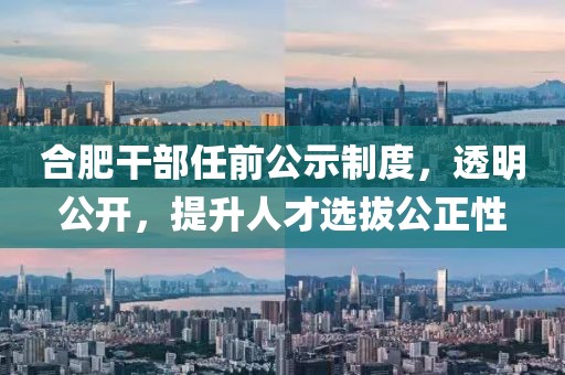 合肥干部任前公示制度，透明公開，提升人才選拔公正性