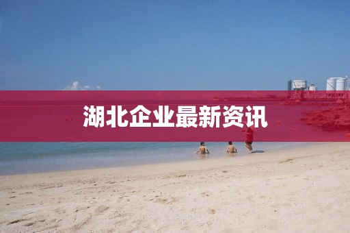 湖北企業(yè)最新資訊