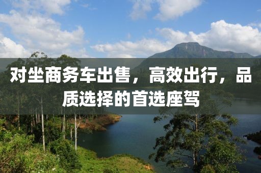 對坐商務車出售，高效出行，品質(zhì)選擇的首選座駕