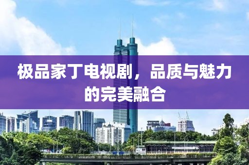 極品家丁電視劇，品質(zhì)與魅力的完美融合