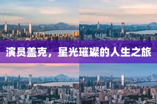 演員蓋克，星光璀璨的人生之旅