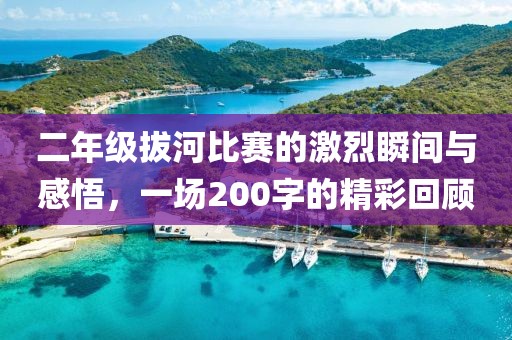 二年級拔河比賽的激烈瞬間與感悟，一場200字的精彩回顧