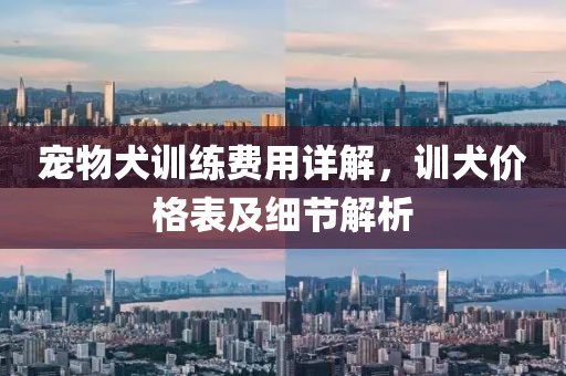 寵物犬訓(xùn)練費用詳解，訓(xùn)犬價格表及細節(jié)解析